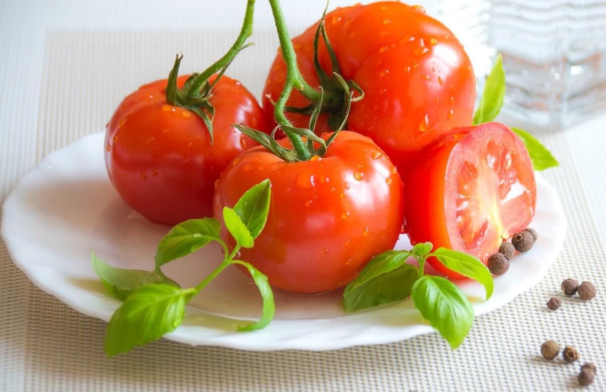 three professional tomato recipes